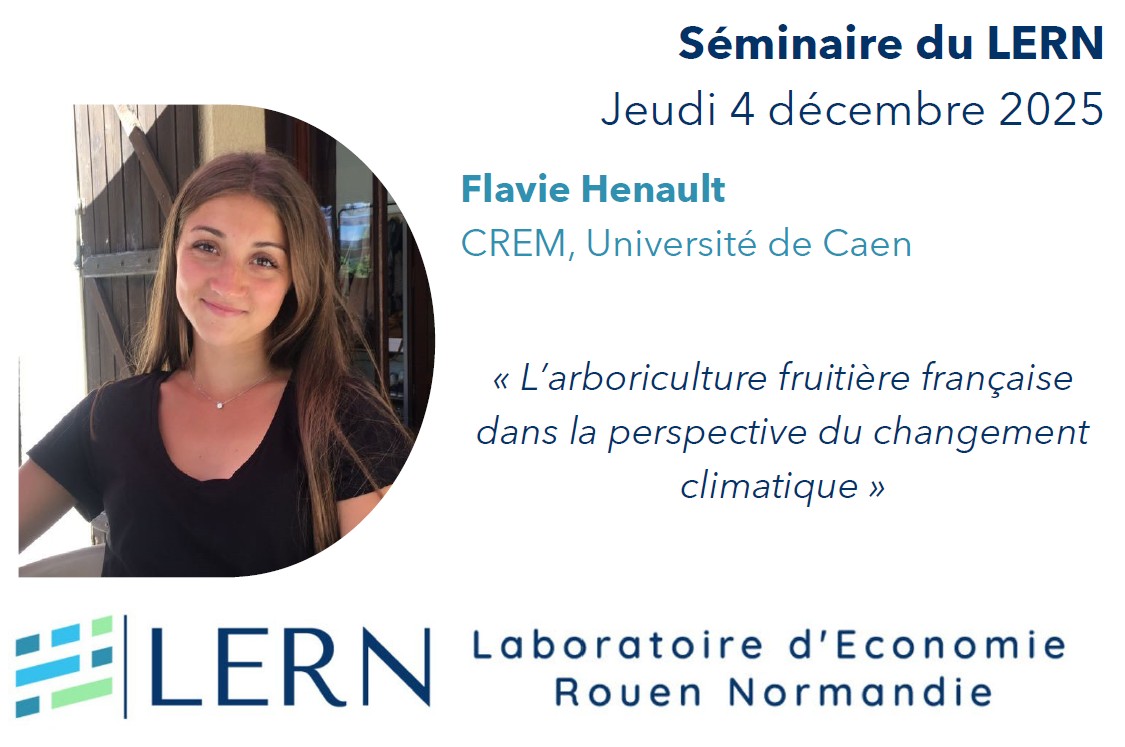 Séminaire du LERN | Flavie Henault
