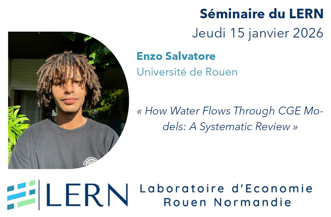 Séminaire du LERN | Enzo Salvatore